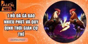 1 Hồ Đá Gà Bao Nhiêu Phút Và Quy Định Thời Gian Cụ Thể
