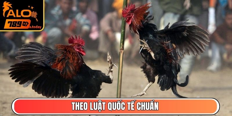 Theo luật quốc tế chuẩn