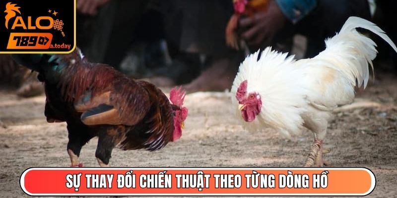 Sự thay đổi chiến thuật theo từng dòng hồ