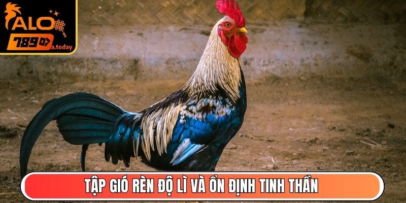 Tập gió rèn độ lì và ổn định tinh thần