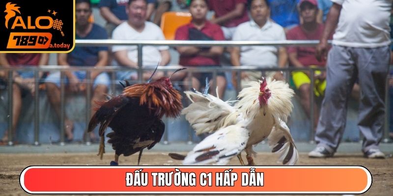 Đấu trường C1 hấp dẫn