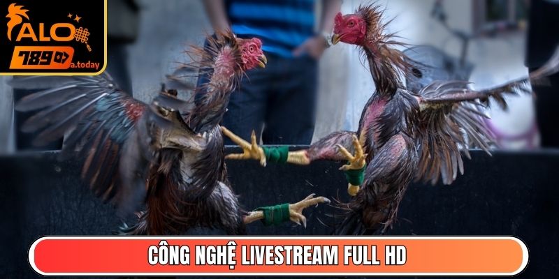 Công nghệ livestream Full HD