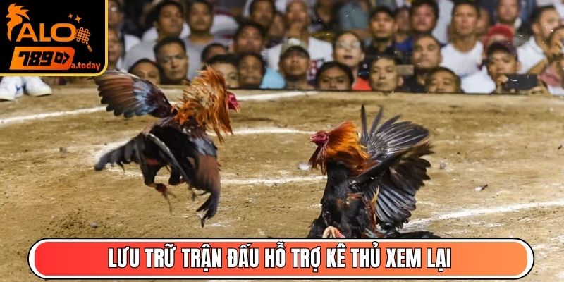 Lưu trữ trận đấu hỗ trợ kê thủ xem lại