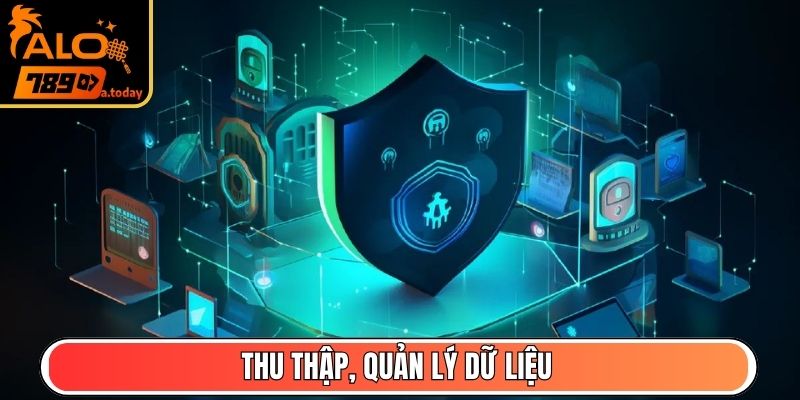 Thu thập, quản lý dữ liệu