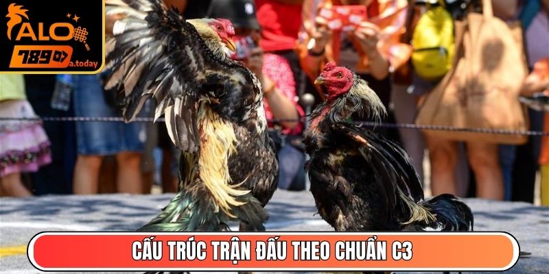 Cấu trúc trận đấu theo chuẩn C3