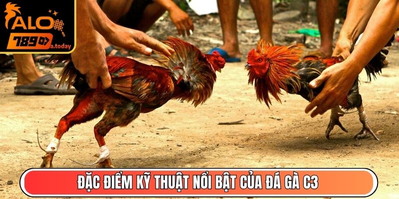 Đặc điểm kỹ thuật nổi bật của đá gà C3