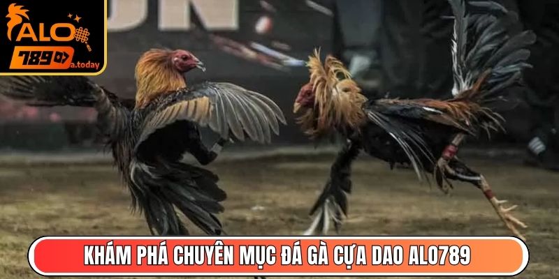 Khám phá chuyên mục đá gà cựa dao Alo789