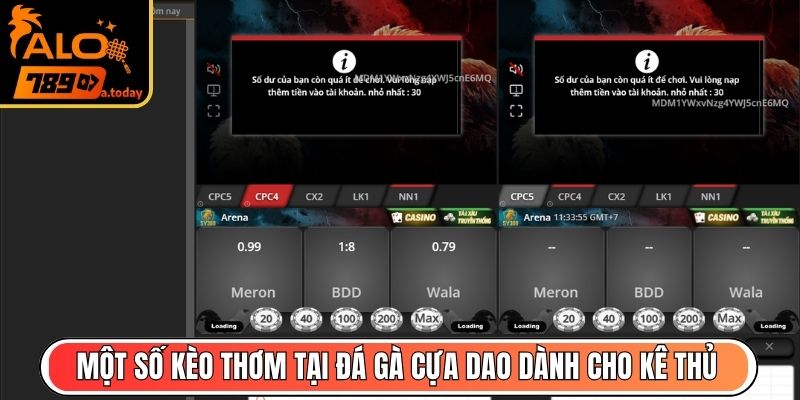 Một số kèo thơm tại đá gà cựa dao dành cho kê thủ