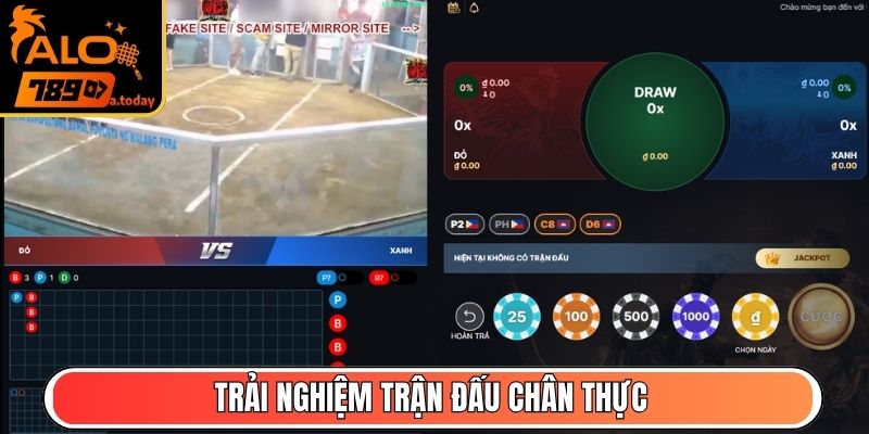 Trải nghiệm trận đấu chân thực