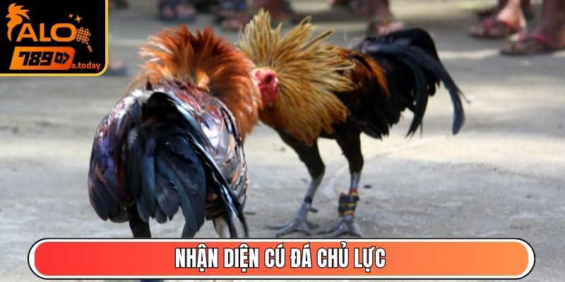 Nhận diện cú đá chủ lực
