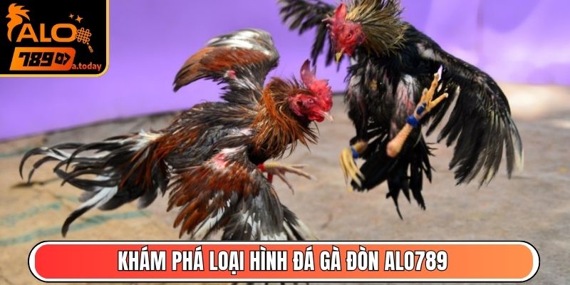 Khám phá loại hình đá gà đòn Alo789