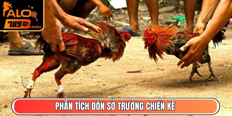 Phân tích đòn sở trường chiến kê