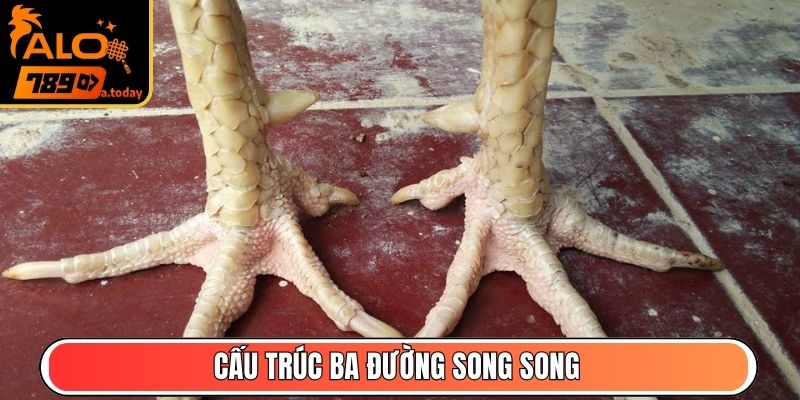 Cấu trúc ba đường song song