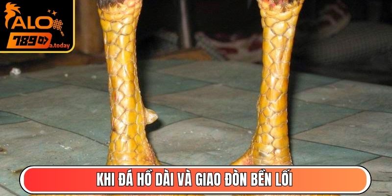 Khi đá hồ dài và giao đòn bền lối