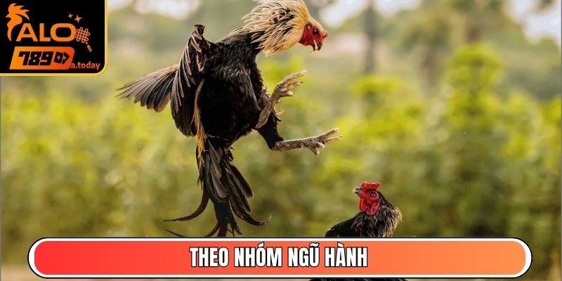 Theo nhóm ngũ hành
