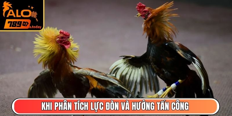 Khi phân tích lực đòn và hướng tấn công