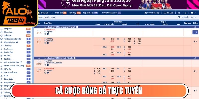 Cá cược bóng đá trực tuyến