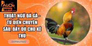 Thuật Ngữ Đá Gà - Từ Điển Chuyên Sâu, Đầy Đủ Cho Kê Thủ
