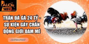 Trận Đá Gà 24 Tỷ - Sự Kiện Gây Chấn Động Giới Đam Mê