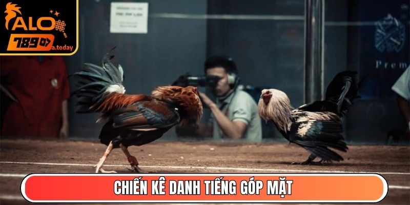 Chiến kê danh tiếng góp mặt