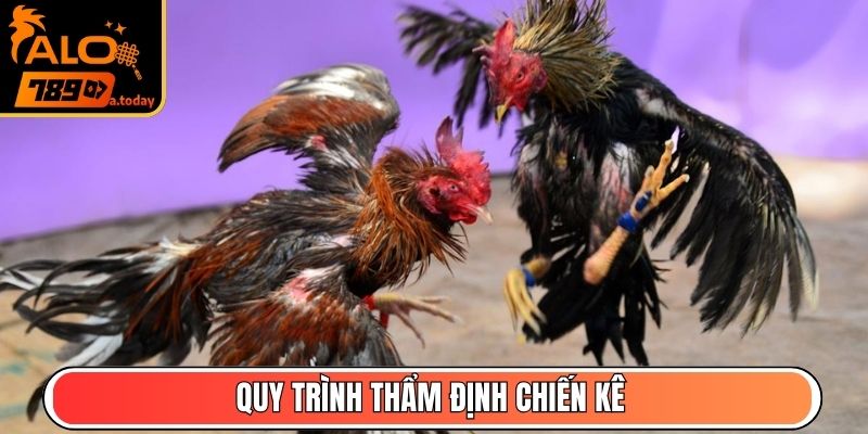 Quy trình thẩm định chiến kê