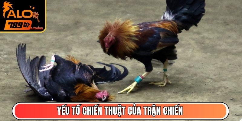 Yếu tố chiến thuật của trận chiến