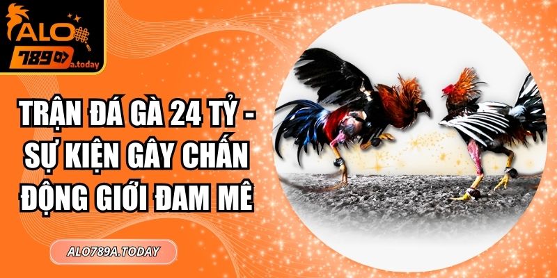 Trận Đá Gà 24 Tỷ - Sự Kiện Gây Chấn Động Giới Đam Mê