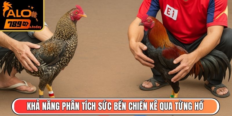 Khả năng phân tích sức bền chiến kê qua từng hồ