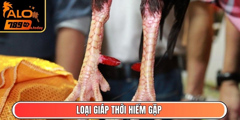 Loại giáp thới hiếm gặp