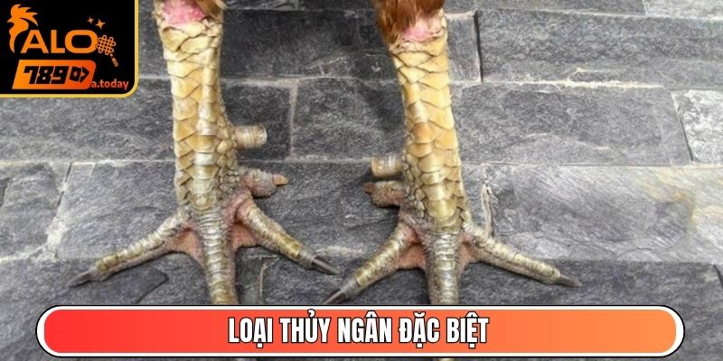 Loại thủy ngân đặc biệt